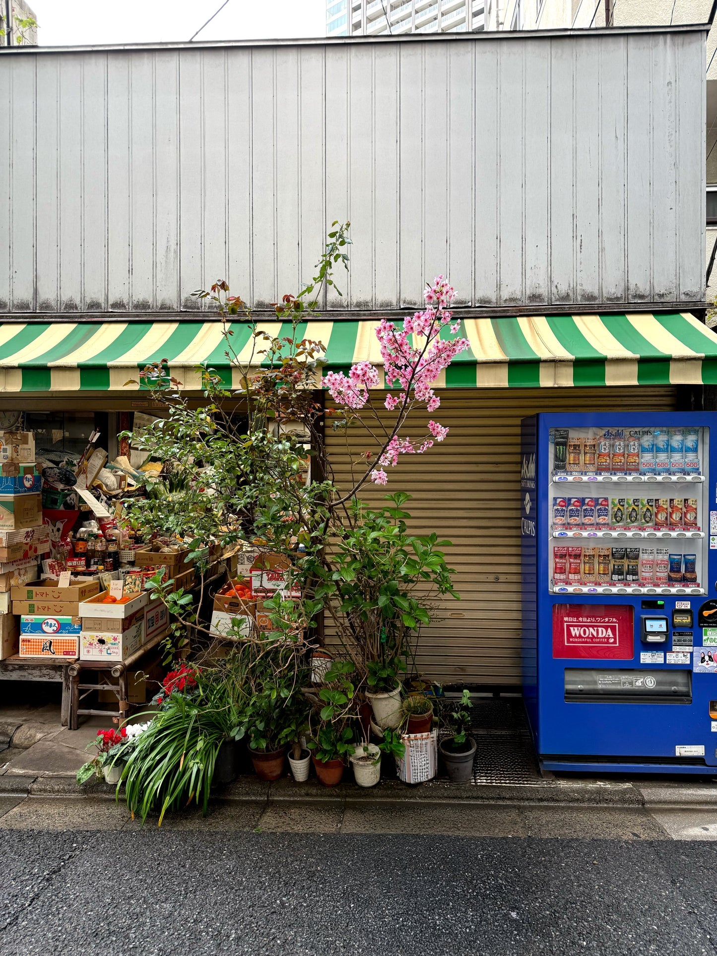 Akasaka: a better place to stay in Tokyo