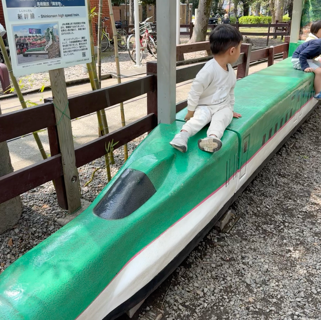 Best Full Day Park with Kids in Tokyo (it has a train and go karts!)