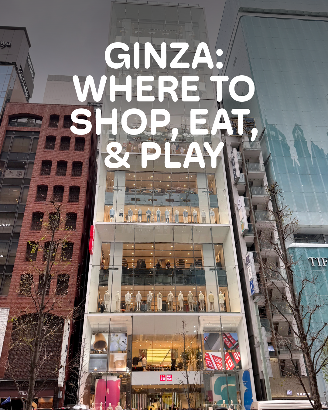 Tokyo Ginza Rec List